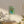 Matte Canvas – Renewable Forests - Dipaliz - Posters Prints & Visual Artwork