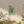 Matte Canvas – Renewable Forests - Dipaliz - Posters Prints & Visual Artwork