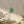 Matte Canvas – Renewable Forests - Dipaliz - Posters Prints & Visual Artwork