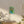 Matte Canvas – Renewable Forests - Dipaliz - Posters Prints & Visual Artwork