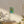 Matte Canvas – Renewable Forests - Dipaliz - Posters Prints & Visual Artwork