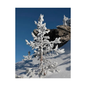 Snow Covered Tree Poster – Satin Winter Art - Dipaliz - Posters Prints & Visual Artwork