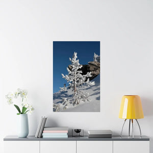 Snow Covered Tree Poster – Satin Winter Art - Dipaliz - Posters Prints & Visual Artwork