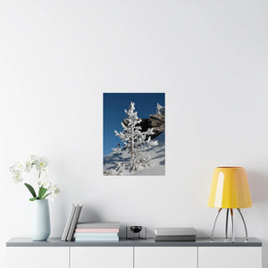 Snow Covered Tree Poster – Satin Winter Art - Dipaliz - Posters Prints & Visual Artwork