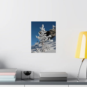 Snow Covered Tree Poster – Satin Winter Art - Dipaliz - Posters Prints & Visual Artwork