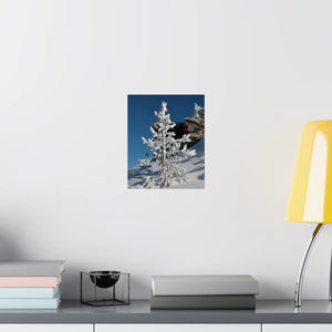 Snow Covered Tree Poster – Satin Winter Art - Dipaliz - Posters Prints & Visual Artwork