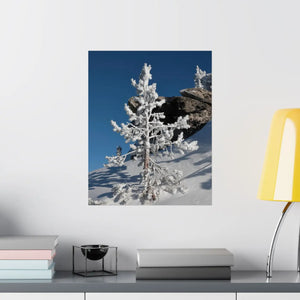 Snow Covered Tree Poster – Satin Winter Art - Dipaliz - Posters Prints & Visual Artwork