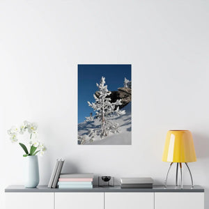 Snow Covered Tree Poster – Satin Winter Art - Dipaliz - Posters Prints & Visual Artwork