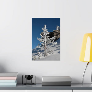 Snow Covered Tree Poster – Satin Winter Art - Dipaliz - Posters Prints & Visual Artwork