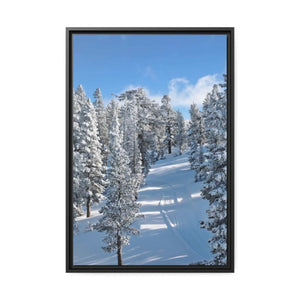 DipaliZ Lake Tahoe framed matte canvas of snow-covered trees