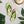 Pink Flowers Slip-resistant Flip-flops Summer - Dipaliz - Slippers