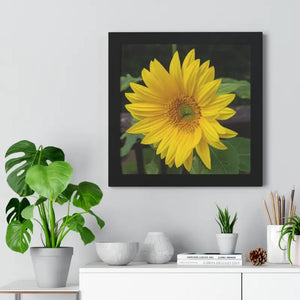Sunflower Gallery Canvas - Framed Horizontal Poster - Dipaliz - 16″ x / Black - Posters Prints & Visual Artwork