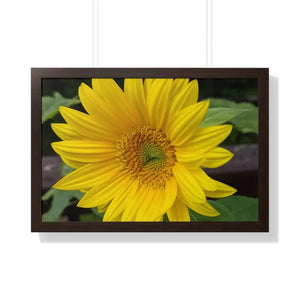 Sunflower Gallery Canvas - Framed Horizontal Poster - Dipaliz - 30’’ x 20’’ / Walnut - Posters Prints & Visual Artwork