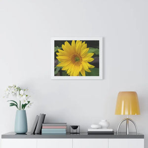 Sunflower Gallery Canvas - Framed Horizontal Poster - Dipaliz - Posters Prints & Visual Artwork