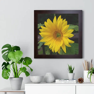 Sunflower Gallery Canvas - Framed Horizontal Poster - Dipaliz - Posters Prints & Visual Artwork