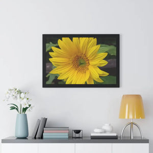 Sunflower Gallery Canvas - Framed Horizontal Poster - Dipaliz - Posters Prints & Visual Artwork