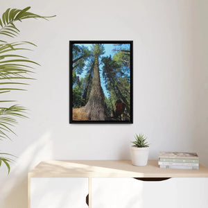 Serene Redwood Forest Matte Canvas - Black Frame - Dipaliz - Posters Prints & Visual Artwork