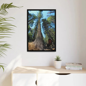 Serene Redwood Forest Matte Canvas - Black Frame - Dipaliz - Posters Prints & Visual Artwork