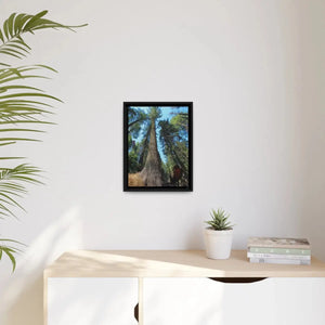 Serene Redwood Forest Matte Canvas - Black Frame - Dipaliz - Posters Prints & Visual Artwork