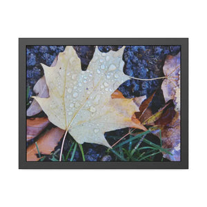 Water Drops on a Maple Leaf Framed Paper Posters - 24″ x 18″ (horizontal) / Black Frame / Fine Art - Prints & Visual
