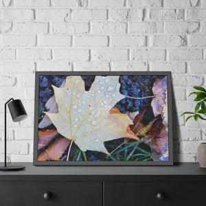 Water Drops on a Maple Leaf Framed Paper Posters - 36″ x 24″ (horizontal) / Black Frame / Fine Art - Prints & Visual