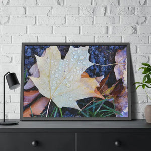 Water Drops on a Maple Leaf Framed Paper Posters - Prints & Visual Artwork
