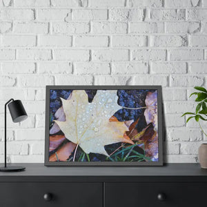 Water Drops on a Maple Leaf Framed Paper Posters - Prints & Visual Artwork