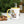 Vibrant Wild Soul Mugs - Color Inside Eco-friendly Gifts - Dipaliz