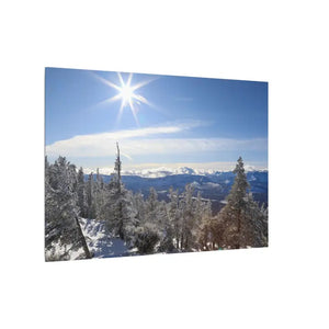 Winter Wonderland Matte Canvas Wall Art - Eco Radial Pine - Dipaliz - Posters Prints & Visual Artwork