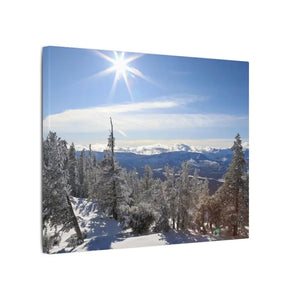 Winter Wonderland Matte Canvas Wall Art - Eco Radial Pine - Dipaliz - Posters Prints & Visual Artwork