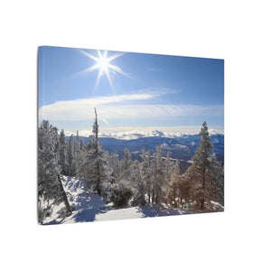 Winter Wonderland Matte Canvas Wall Art - Eco Radial Pine - Dipaliz - Posters Prints & Visual Artwork