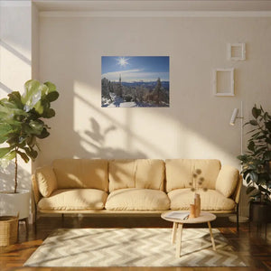 Winter Wonderland Matte Canvas Wall Art - Eco Radial Pine - Dipaliz - Posters Prints & Visual Artwork