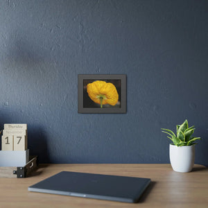 Yellow Poppy Flower – Framed Paper Poster - Dipaliz - Posters Prints & Visual Artwork