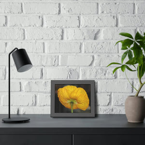 Yellow Poppy Flower – Framed Paper Poster - Dipaliz - Posters Prints & Visual Artwork