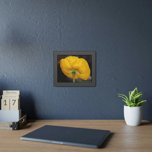 Yellow Poppy Flower – Framed Paper Poster - Dipaliz - Posters Prints & Visual Artwork