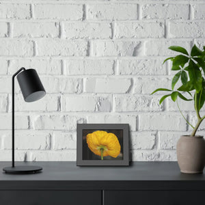 Yellow Poppy Flower – Framed Paper Poster - Dipaliz - Posters Prints & Visual Artwork
