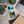 Zion National Park Samsung Case - Rugged Trail - Dipaliz - Mobile Phone Cases