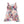 Floral Skater Dress – Watercolor Eco Fabric - Dipaliz - Dresses - Xs