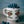 Wild Blast Kissable Enamel Camping Mug - Outdoor Adventure - Dipaliz - Mugs