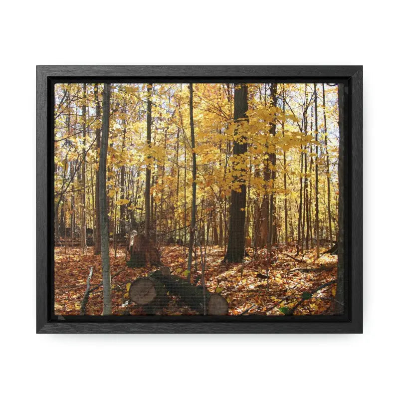 Autumn Vibes: Jazz Up your Woods Gallery Canvas Wraps - 10″ x 8″ / Black / Premium (1.25″)