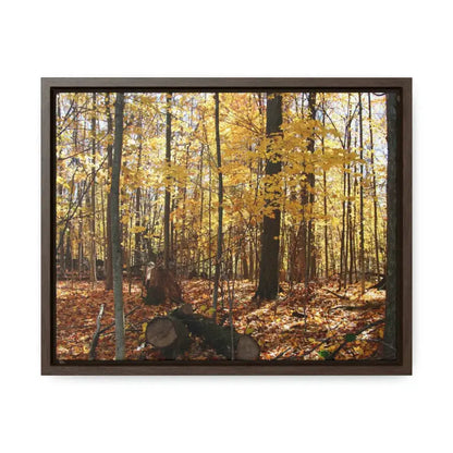 Autumn Vibes: Jazz Up your Woods Gallery Canvas Wraps - 14″ x 11″ / Walnut / Premium (1.25″)