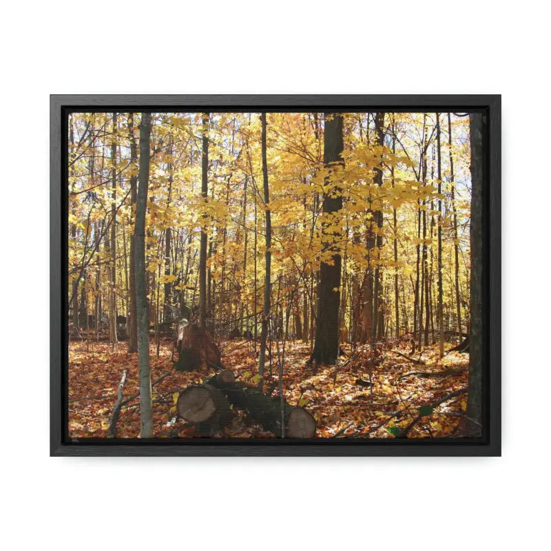 Autumn Vibes: Jazz Up your Woods Gallery Canvas Wraps - 14″ x 11″ / Black / Premium (1.25″)