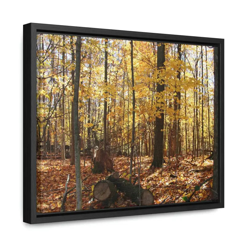 Autumn Vibes: Jazz Up your Woods Gallery Canvas Wraps