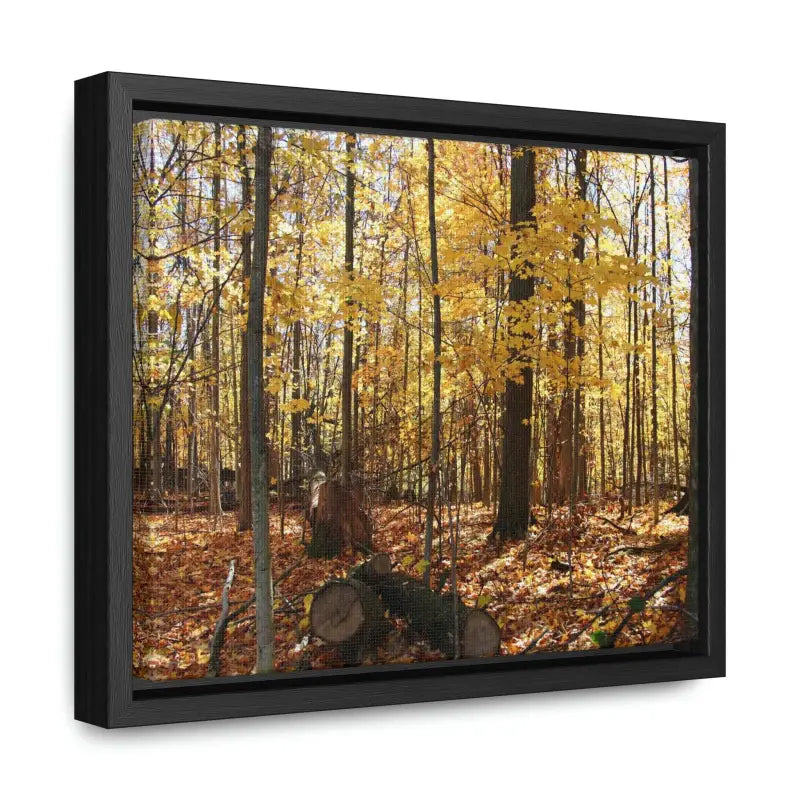 Autumn Vibes: Jazz Up your Woods Gallery Canvas Wraps