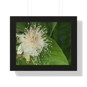 Framed Horizontal Poster - Bold Modern Wall Art - Dipaliz - 14″ x 11″ / Black - Posters Prints & Visual Artwork