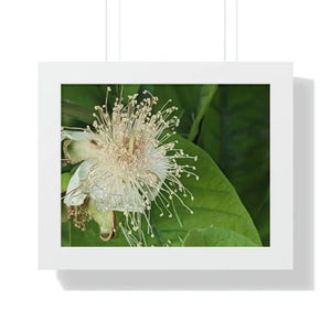 Framed Horizontal Poster - Bold Modern Wall Art - Dipaliz - 14″ x 11″ / White - Posters Prints & Visual Artwork