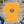 Soft Cotton Ganesha Tee - Jersey Short Sleeve - Dipaliz - T-shirts