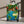 Jungle Parrot Travel Luggage - Hard Shell Carry on - Dipaliz - Suitcases