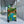 Jungle Parrot Travel Luggage - Hard Shell Carry on - Dipaliz - Suitcases