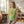 Kids T-shirt, ?Be Kind where you Grow’ Smiling Sunflower Graphic - T-shirts - s